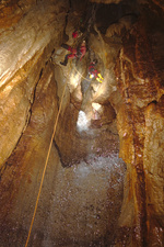 Thumbnail of photo from this article